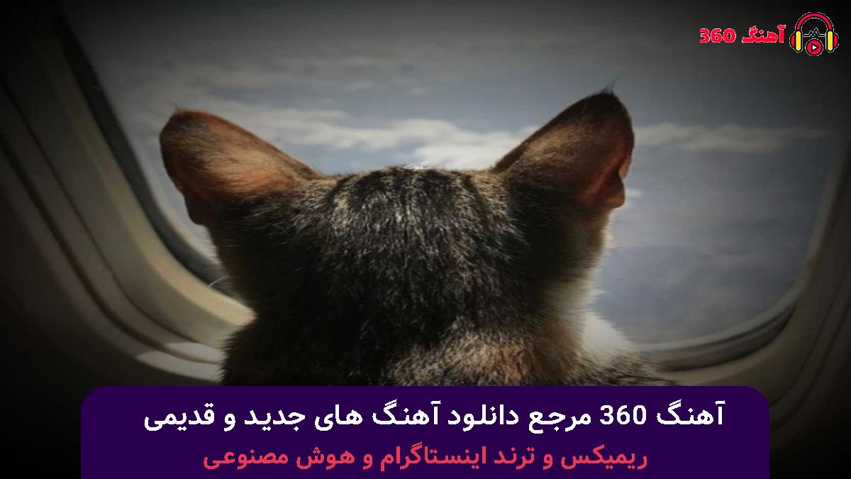 کاور آهنگ اﻣﺸﺐ ﻛﻪ ﻣﺎه ﻛﺎﻣﻠﻪ ﺗﻤﺎم اﻳﻦ ﻓﺎﺻﻠﻪ با صدای سهیل مهرزادگان